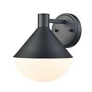 DVI Agawa Outdoor 1-Light Outdoor Wall Sconce in Black