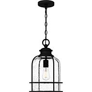 One Light Outdoor Hanging Lantern by Quoizel