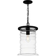 One Light Outdoor Hanging Lantern by Quoizel