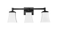 Three Light Vanity by Millennium