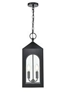 Two Light Outdoor Hanging Lantern by Millennium