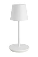 LED Table Lamp by Visual Comfort Modern