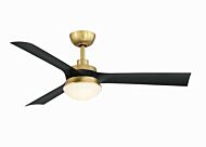 52"Ceiling Fan by Fanimation