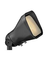 Accent Flood Light 1-Light LED Flood Spot Light in Satin Black