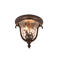 Two Light Outdoor Flush Mount