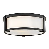 LED Flush Mount