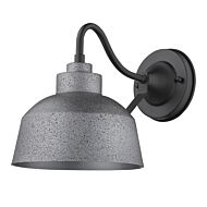 Barnes 1-Light Gray Wall Light