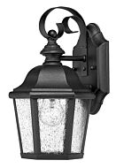 Hinkley Edgewater 1-Light Outdoor Light In Black