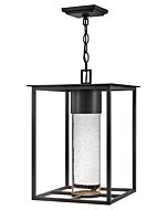 Hinkley Coen 1-Light Outdoor Light In Black