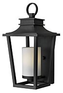 Hinkley Sullivan 1-Light Outdoor Light In Black