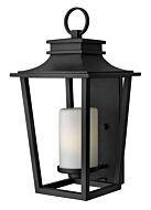 Hinkley Sullivan 1-Light Outdoor Light In Black