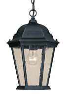 One Light Hanging Lantern by Acclaim Lighting