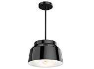 Hunter Cranbrook Pendant Light in Matte Black