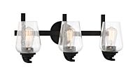 Minka Lavery Shyloh 3 Light Bathroom Vanity Light in Coal