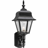 Non-Metallic Incandescent 1-Light Wall Lantern in Black