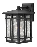 Hinkley Tucker 1-Light Outdoor Light In Museum Black