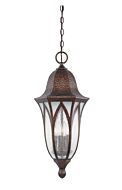 Berkshire 4-Light Hanging Lantern in Burnished Antique Copper