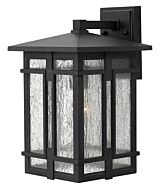 Hinkley Tucker 1-Light Outdoor Light In Museum Black