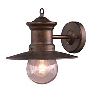 Maritime 1-Light Outdoor Wall Sconce in Hazelnut Bronze