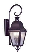 Amwell 2-Light Outdoor Wall Lantern in Bronze