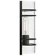 Cassi 1-Light LED Wall Sconce in Matte Black