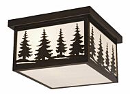 Yosemite 2-Light Outdoor Flush Mount in Burnished Bronze