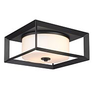 Smyth Nb 2-Light Outdoor Flush Mount Ceiling Light in Natural Black