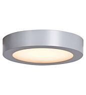 Access Ulko Exterior Outdoor Ceiling Light in Silver