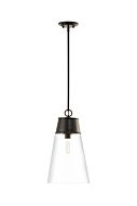 Z-Lite Wentworth 1-Light Pendant Light In Matte Black