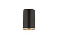 Z-Lite Arlo 1-Light Flush Mount Ceiling Light In Matte Black With Chrome