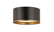 Z-Lite Arlo 2-Light Flush Mount Ceiling Light In Matte Black With Rubbed Brass