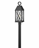 Hinkley Briar 1-Light Outdoor Light In Museum Black