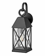 Hinkley Briar 1-Light Outdoor Light In Museum Black