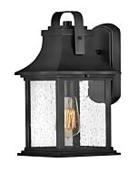 Hinkley Grant 1-Light Outdoor Light In Textured Black