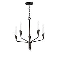 Calyx Five Light Chandelier in Black by Maxim