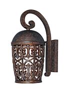 Amherst 1-Light Wall Lantern in Burnt Umber