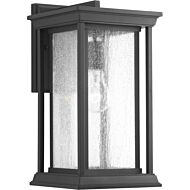 Endicott 1-Light Wall Lantern in Black