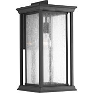 Endicott 1-Light Wall Lantern in Black