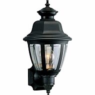 Non-Metallic Incandescent 1-Light Wall Lantern in Black