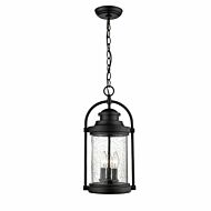 Millennium Lighting 3 Light Outdoor Hanging Lantern in Powder Coat Black