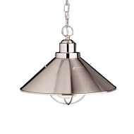 Kichler Seaside Outdoor Coastal Hanging Pendant Light in Brushed Nickel