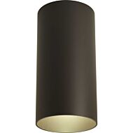 Cylinder 1-Light Outdoor Ceiling Mount in Antique Bronze