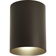 Cylinder 1-Light Outdoor Ceiling Mount in Antique Bronze