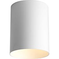 Cylinder 1-Light Outdoor Ceiling Mount in White