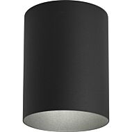 Cylinder 1-Light Outdoor Wall Lantern in Black