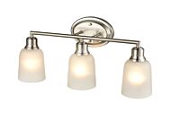 Millennium Amberle 3 Light Bathroom Vanity Light in Brushed Nickel