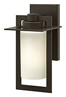 Hinkley Colfax 1-Light Outdoor Light In Bronze