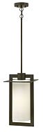 Hinkley Colfax 1-Light Outdoor Light In Bronze