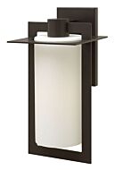 Hinkley Colfax 1-Light Outdoor Light In Bronze