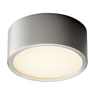 Peepers LED Ceiling Mount in Satin Nickel by Oxygen